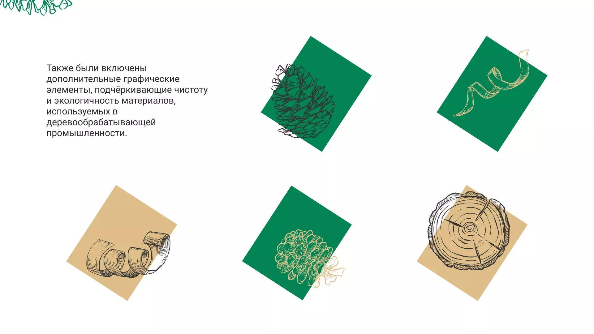 Разработка айдентики и сайта компании «Plastwood» в Тимашёвске